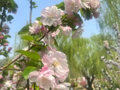 -元大都城垣遗址公园