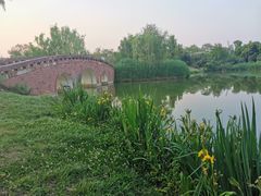 -白鹭湾湿地公园