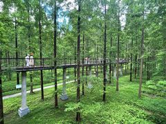 -黄海国家森林公园