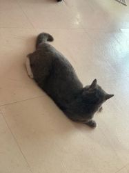 -Pink You美甲美睫纹绣定制中心