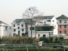 -龙坞茶村