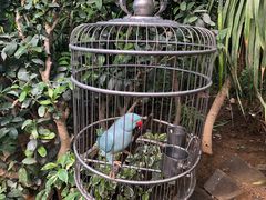 -南宫五洲植物乐园