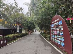 -石燕湖生态旅游景区