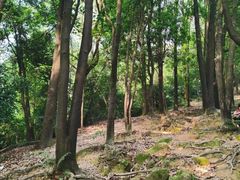 -火炉山森林公园