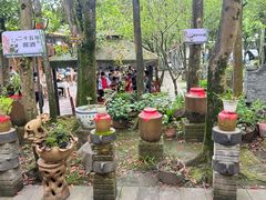 -土砂锅生态山庄·非遗砂锅雅鱼