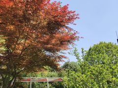 -兰溪青年公园