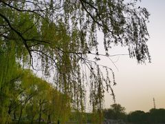 -达活泉公园