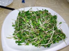 -海岛渔村大酒店(云霄路店)