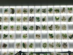 -广东中医药博物馆