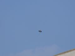 -麦当劳(军博店)