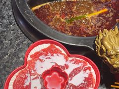 -蜀大侠火锅(总府路店)