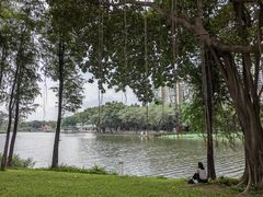 -荔湾湖公园