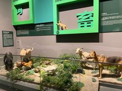 -武汉园博园(武汉自然博物馆)