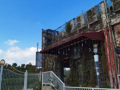 -立新湖公园