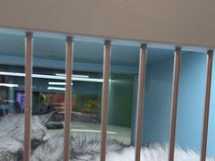 -FAELING PETS美天灵宠物(合生汇店)
