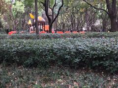 -徐家汇源景区-衡山坊