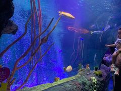 -沈阳海洋探索中心