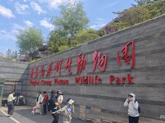-青藏高原野生动物园