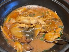 红烧菊黄河豚-扬州狮子楼·非遗淮扬菜(总店)