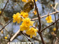 -月坛公园