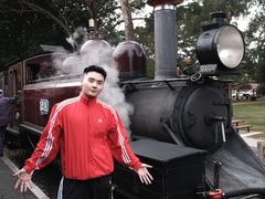 -企鹅岛