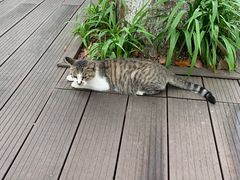 -白马涧龙池景区
