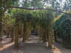 -中国科学院西双版纳热带植物园