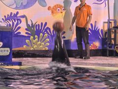 -太平洋海底世界