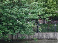 -苏州河梦清园环保主题公园