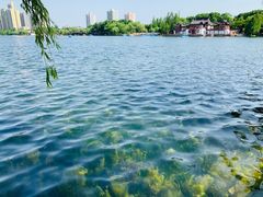 -莫愁湖公园