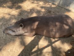 -西霞口神雕山野生动物世界