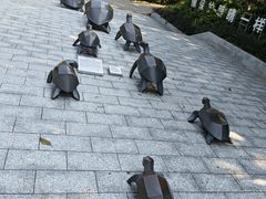 -广东惠东海龟国家级自然保护区