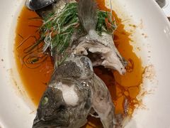 -采粤轩中餐厅(惠州金海湾喜来登度假酒店)