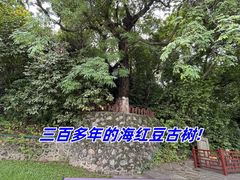 -南海神庙