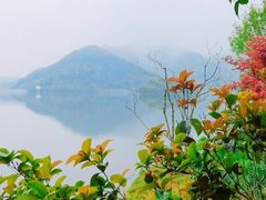 -宁波九龙湖开元度假村