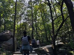-封龙山风景区
