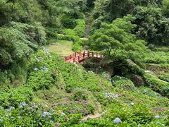 -鼓岭旅游度假区