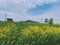 -湖山人家·湖景餐厅·特色农家菜(太湖西山店)