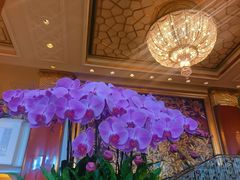 -北京中国大饭店