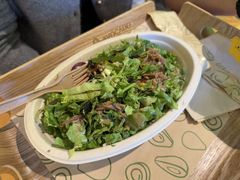 -油梨树AVOCADO TREE(望京店)