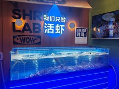 -0048鲜活香辣虾·火锅(铜陵路店)