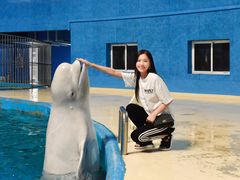 -泉城欧乐堡海洋极地世界