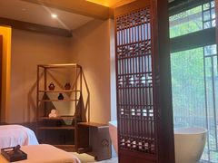 -丽江金茂隐逸酒店-凯悦臻选SPA
