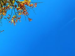 -天津医科大学第二医院