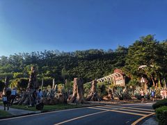 -深圳仙湖植物园-停车场