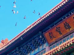 -高旻寺