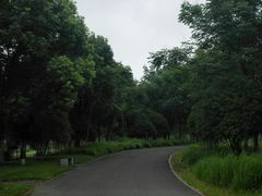 -梁鸿国家湿地公园