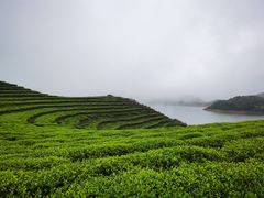 -嵛山岛