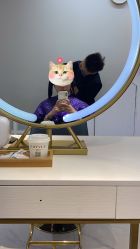 点击看大图 -飞梵造型