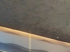 -羲和雅苑•北京烤鸭(乐园道万象城店)